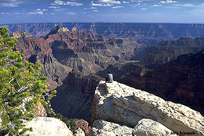 Grand Canyon, Blick vom Cape Royal am Nordrand über den Canyon