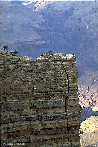 Grand Canyon NP, Ein Felsdetail