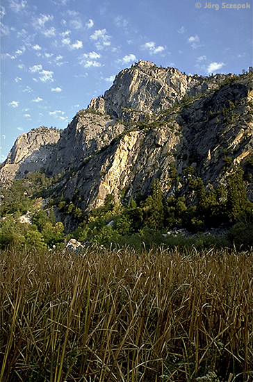 Schilf und Berg, Zumwalt Meadow, Kings Canyon NP