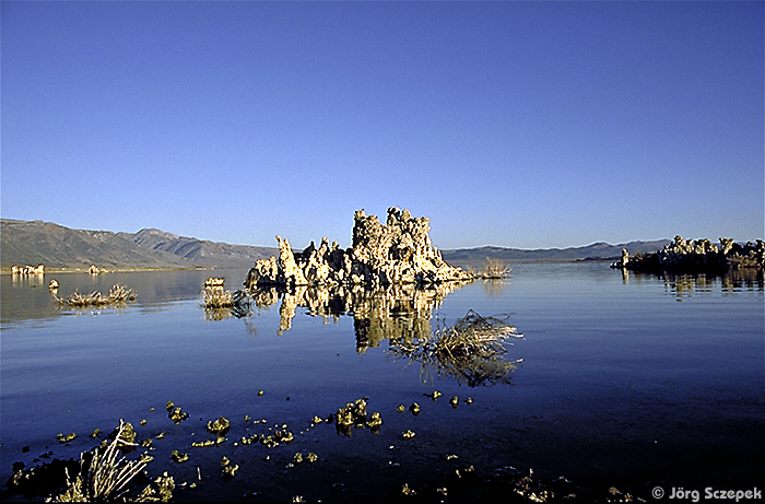 Kalzitformationen am Südufer des Mono Lake