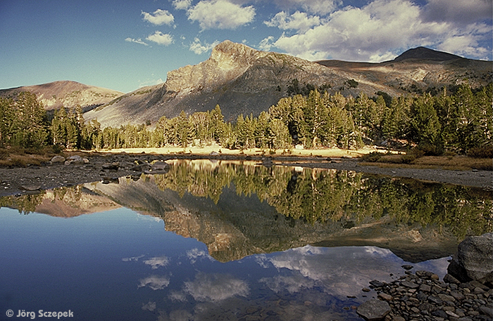 Perfekte Spiegelung eines Berges nahe dem Tioga Pass in einem kleinen See