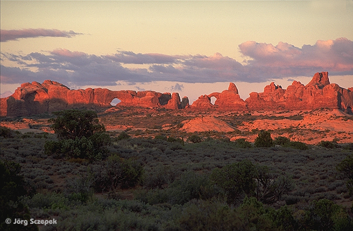 Die Windows Section im Arches NP im Licht der untergehenden Sonne vom Petrified Dunes Viewpoint aus