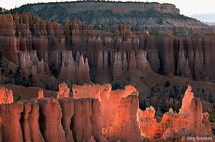 Bryce Canyon NP, Die Hoodoo-Formationen im Bryce Amphitheater in Nahaufnahme