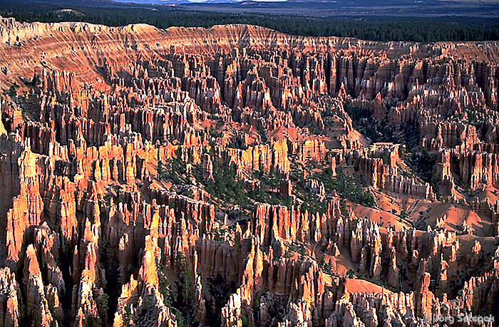 Bryce Canyon NP, Blick vom Bryce Point über das Bryce Amphitheater