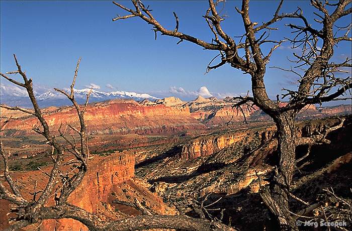 Capitol Reef NP, Blick vom Goosenecks Overlook auf das lange Felsriff der Waterpocket Fold