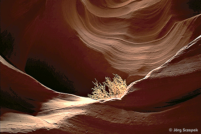 In den Cottonwood Wash Narrows