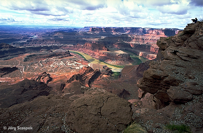 Blick vom Dead Hortse Point Overlook auf die große Schleife des Colorado River