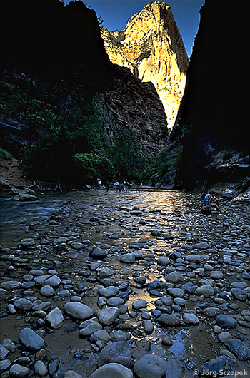 Zion NP, Blick in die Virgin River Narrows, den engsten Teil des Virgin River