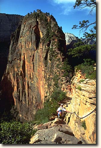 Zion NP: Angels Landing