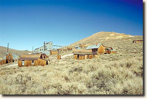 Bodie SHP, Standard Stamp Mine