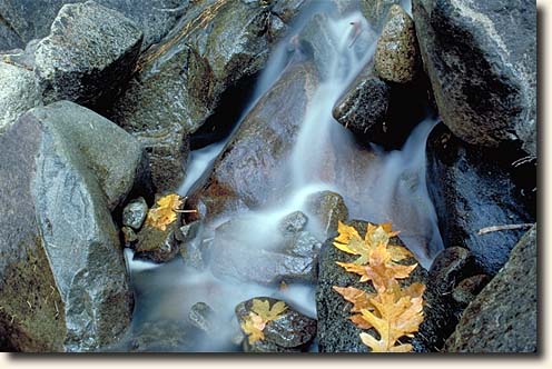 Yosemite NP: Bridalveil Creek