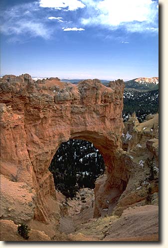 Bryce Canyon NP: Natural Bridge Viewpoint