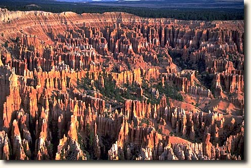 Bryce Canyon NP: Bryce Amphitheater