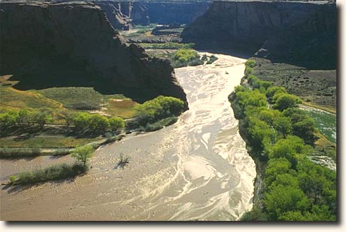 Canyon de Chelly  NM: Im Canyon de Chelly