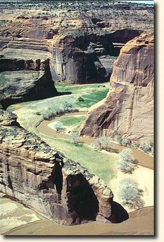 Canyon de Chelly  NM: Canyon de Chelly Südrand