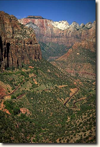 Zion NP: Canyon Overlook