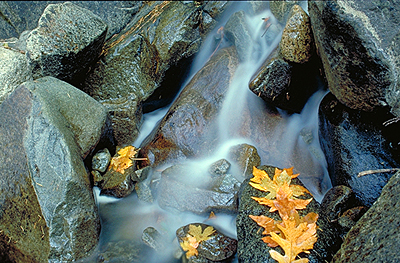 Cascade in einem kleinen Bachlauf, Yosemite NP