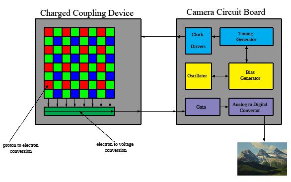 Anatomie eines CCD-Sensors