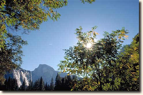 Yosemite NP: Cooks Meadow