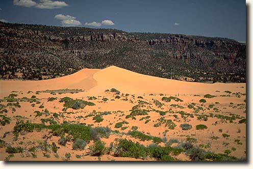 Foto Dünenlandschaft im Coral Pink Sand Dunes SP