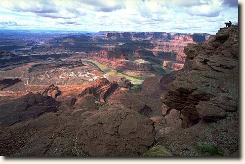 Dead Horse Point SP: Dead Horse Point Overlook