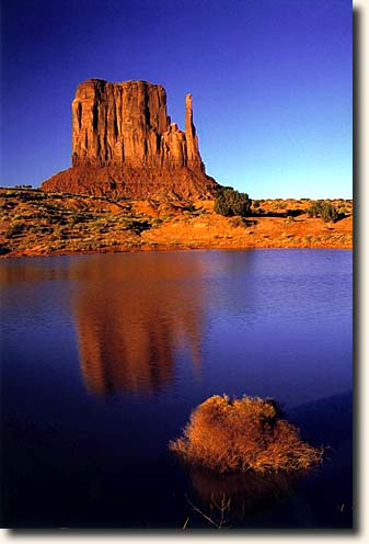 Monument Valley NTP: East Mitten Butte und Teich