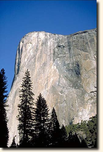 Yosemite NP: El Capitan Meadow