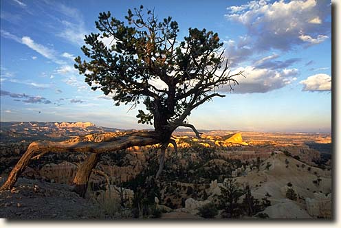 Bryce Canyon NP: Fairyland Point