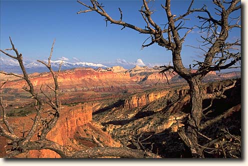 Capitol Reef NP, Foto Waterpocket Fold