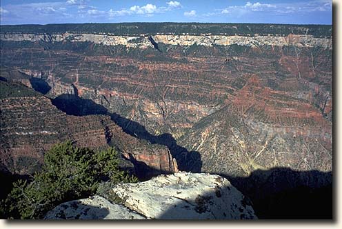 Blick vom Bright Angel Point in den Bright Angel Canyon am Nordrand des Grand Canyon Grand Canyon NP: Bright Angel Canyon