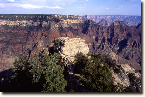 Blick vom Aussichtspunkt Cape Royal auf die Landschaft des Grand Canyon am Nordrand Grand Canyon NP: Aussicht vom Cape Royal