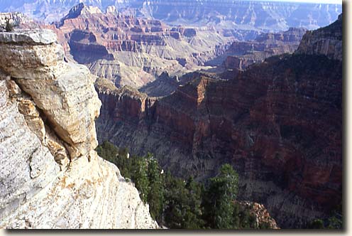 Aussicht vom Cape Royal auf den Grand Canyon Grand Canyon NP: Blick vom Cape Royal