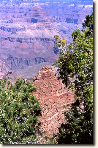 Grand Canyon NP: Blick vom Bright Angel Point