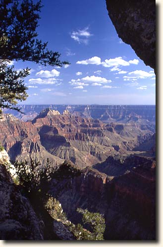 Grand Canyon NP: Aussicht vom Walhalla Overlook