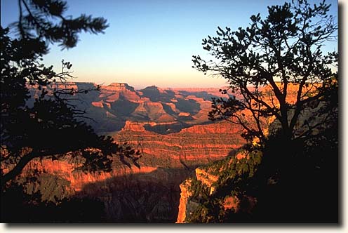 Grand Canyon NP: Yavapai Point