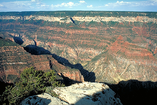 Blick vom Bright Angel Point in den darunterliegenden Bright Angel Canyon am Nordrand des Grand Cannyon