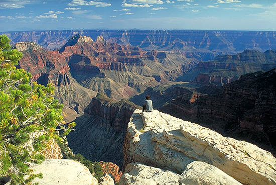 Blick vom Cape Royal am Nordrand über den Grand Canyon