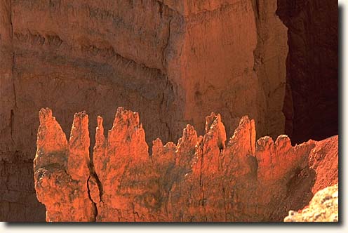 Bryce Canyon NP: Hoodoo Formationen