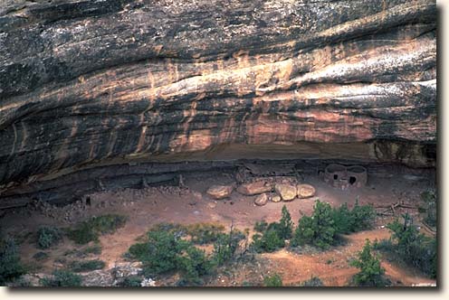 Natural Bridges NM: Horsecollar Ruin