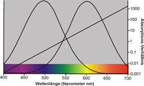Absorptionskurven zweier idealer Photorezeptoren