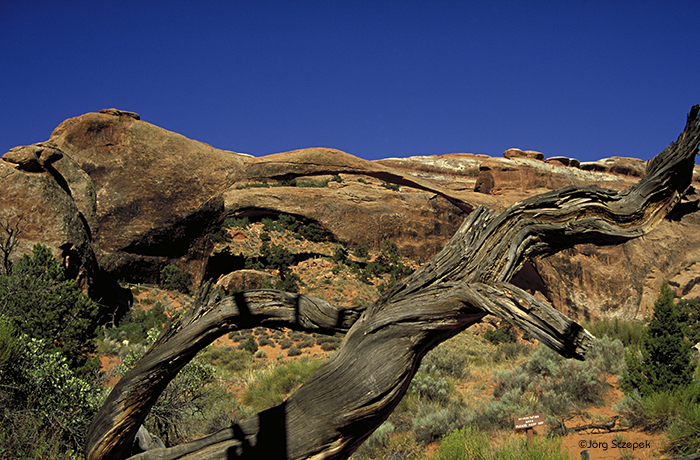 Landscape Arch, Arches NP