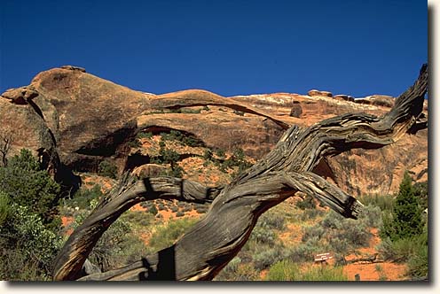 Arches NP : Landscape Arch