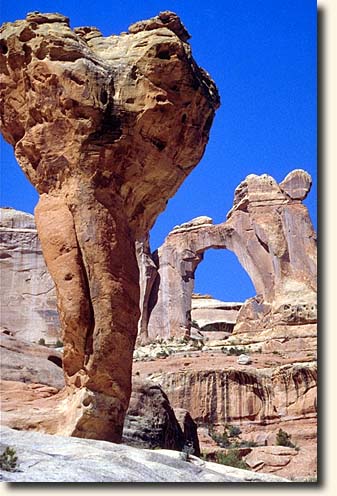 Canyonlands NP: Molar Rock