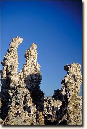 Mono Lake: South Tufa Area