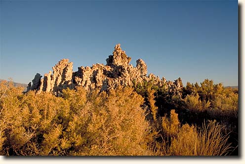 Mono Lake: South Tufa Area