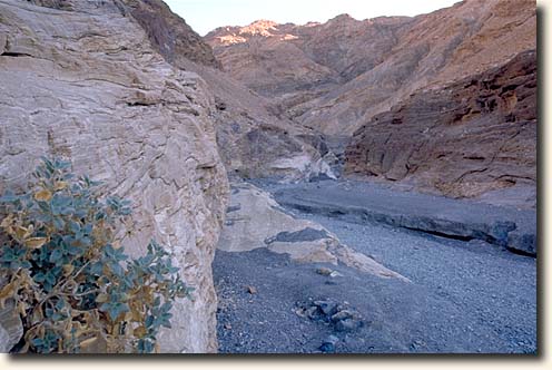 Death Valley NP: Mosaic Canyon