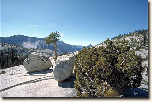 Yosemite NP: Olmsted Point