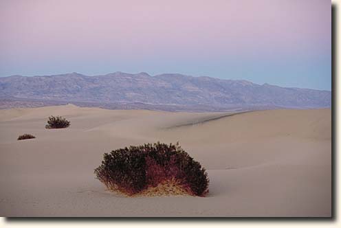 Death Valley NP: Panamint Dunes