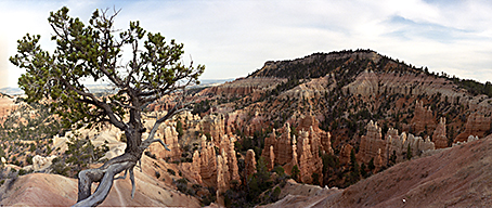 Panoramaaufnahme vom Fairyland Canyon im Bryce Canyon NP/Utah