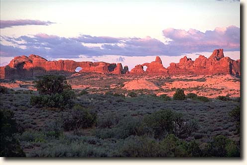 Arches NP : Petrified Dunes Viewpoint